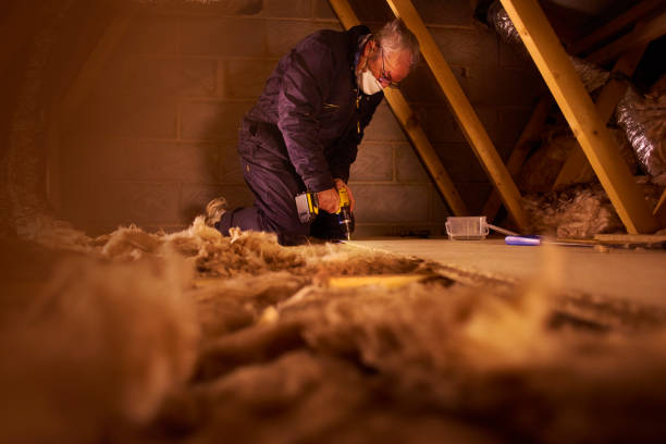 Best Insulation Repair Services  in Ardmore, OK